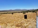 7438 Overland Stage Rd - Photo 3
