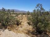 7438 Overland Stage Rd - Photo 7