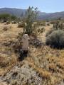  Broken Arrow - Photo 5