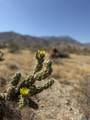  Broken Arrow - Photo 10