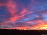 10881 Mystery Mountain Road - Photo 45
