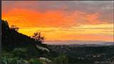 10881 Mystery Mountain Road - Photo 51