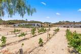 37200 Mesa Rd - Photo 66