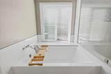 30939 Calle Pina Colada - Photo 36