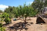 25218 Black Canyon Road - Photo 41