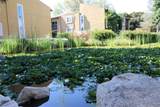 17081 Bernardo Dr - Photo 28