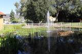 17081 Bernardo Dr - Photo 33