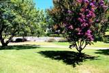 32521 Luiseno Circle Dr - Photo 7