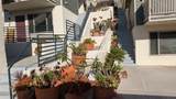 2249 Worden St - Photo 13