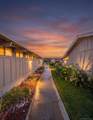3685 Vista Campana - Photo 24