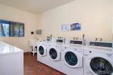 8310 Regents Rd - Photo 23