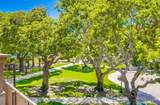 6952 Camino Amero - Photo 43