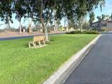 3438 Don Alberto Drive - Photo 17