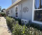 1010 Palm Canyon Dr. - Photo 3