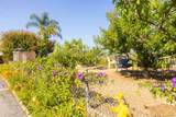 444 El Camino Real - Photo 36