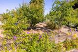 444 El Camino Real - Photo 40
