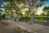 16750 Coyote Bush Drive - Photo 54