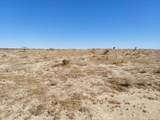 0 Bellflower - Photo 3