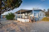 5880 Live Oak Drive - Photo 17