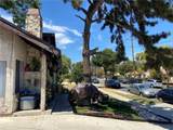 437 1st Street - Photo 3
