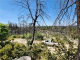 2175 Bald Rock - Photo 12