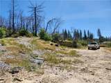 2175 Bald Rock - Photo 19
