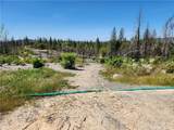 2175 Bald Rock - Photo 6