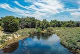  160 Acres Canebrake - Photo 4