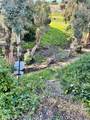 27703 Ortega Hwy - Photo 4