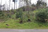 11541 Anderson Springs - Photo 12