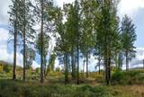 4023 Kakini - Photo 21