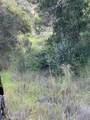 0 Hombre - Photo 5