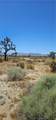 0 Palmdale - Photo 4