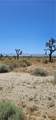 0 Palmdale - Photo 5