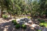 5100 Cascabel Road - Photo 46