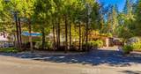39737 Road 274 - Photo 6