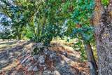 0 Toomes - Photo 11
