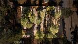 844 Tulip Lane - Photo 43