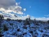98202 Old Cima Ranch Road - Photo 13