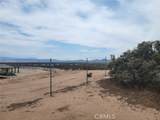 0 Daisy Road - Photo 15