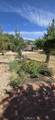 57745 Bailey Road - Photo 75