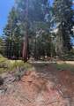 0 Sierra Rd - Photo 8