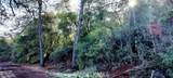 15151 Gray Pine - Photo 4