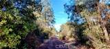 15151 Gray Pine - Photo 6