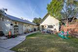 323 Palm Avenue - Photo 9
