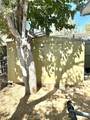 1258 Rosamond - Photo 21