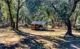 33463 Road 233 - Photo 62