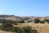 71901 Vineyard Canyon Road - Photo 5