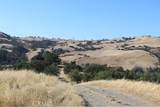 71901 Vineyard Canyon Road - Photo 6