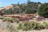 71901 Vineyard Canyon Road - Photo 7